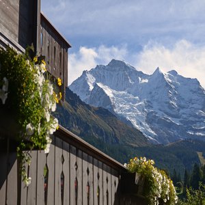 The Jungfrau And Silberhorn