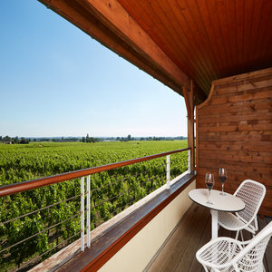 Vineyards House Deluxe Room Terrace