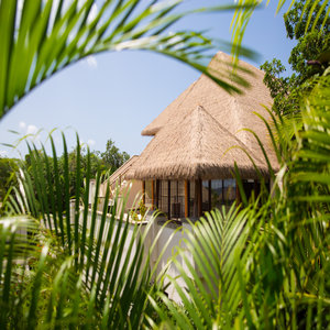 One of the 3-bed villas hidden amongst the palms