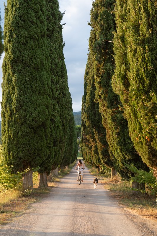 Villa di Piazzano Entrace Drive