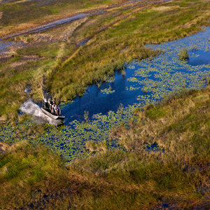 Ka'ana Airboat