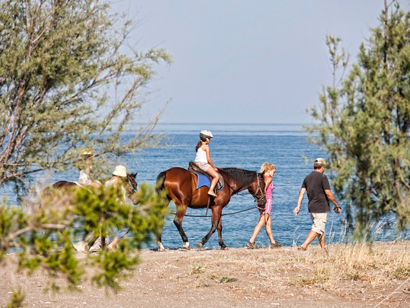 Recreational Facilities
