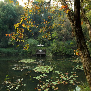 Garden-Pond