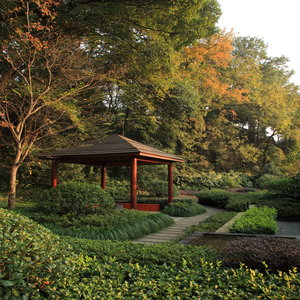 Garden-Arbor