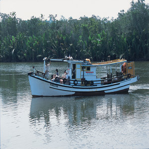 Eco Adventure Marang River Cruise