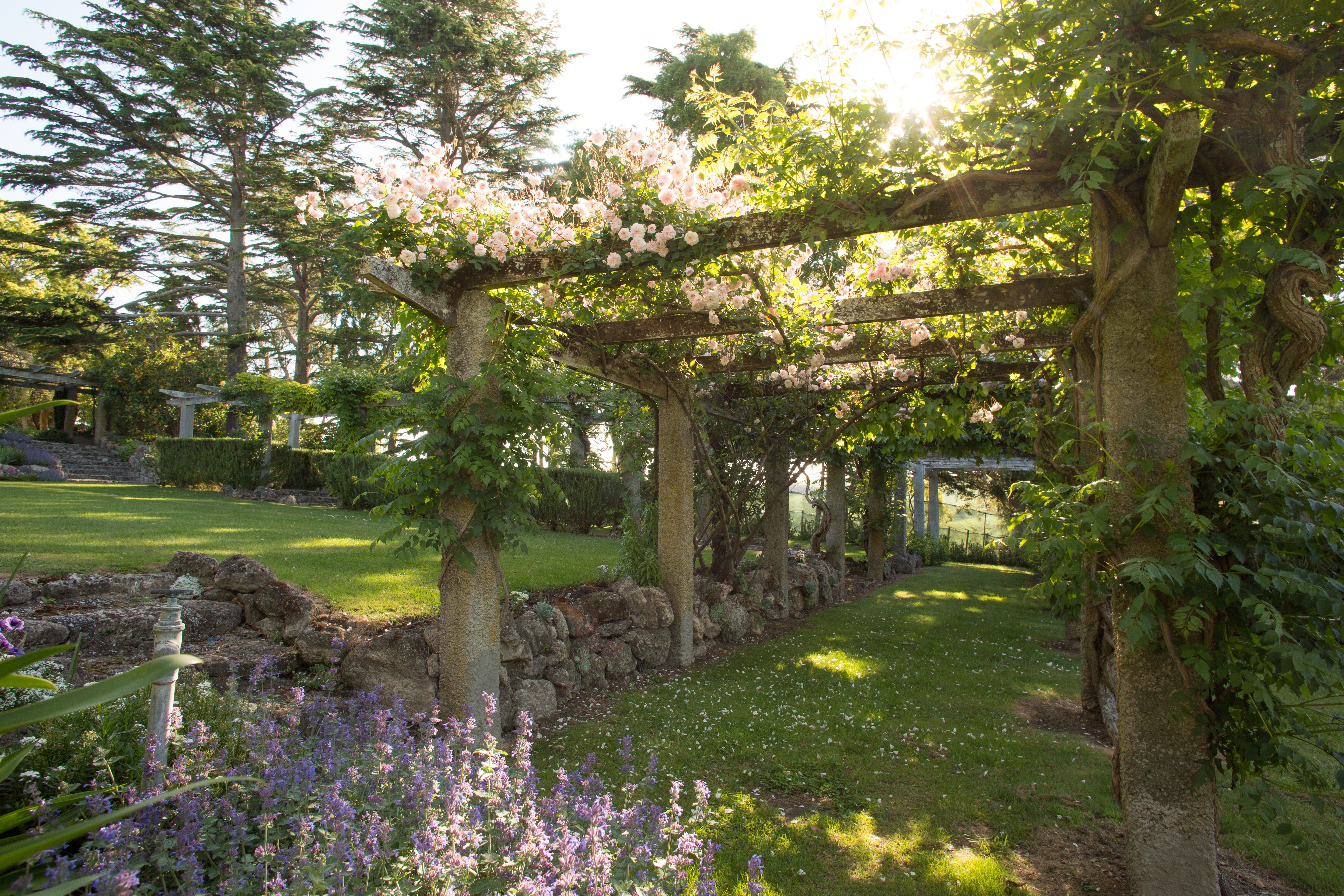 Pergola
