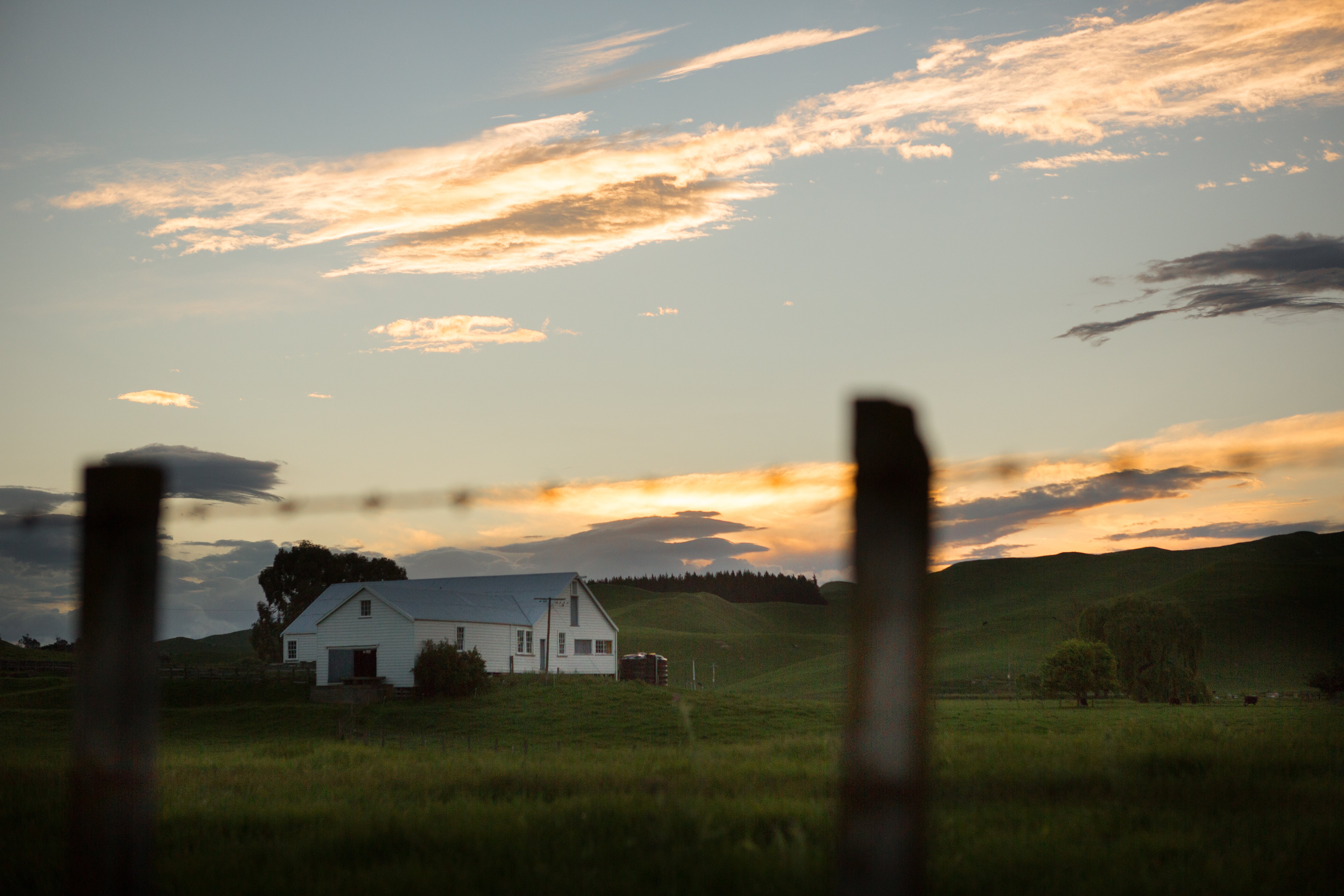 Sunset over the woolshed
