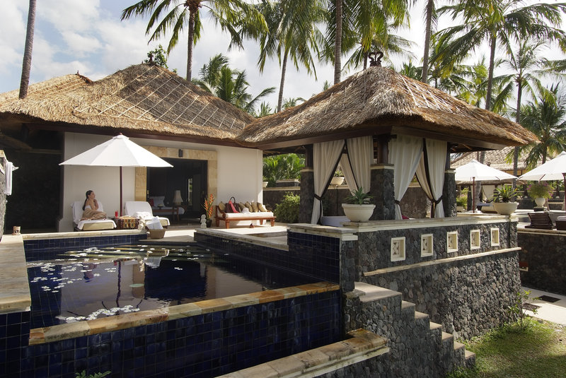 One Bedroom Villa nestled beneath palm trees
