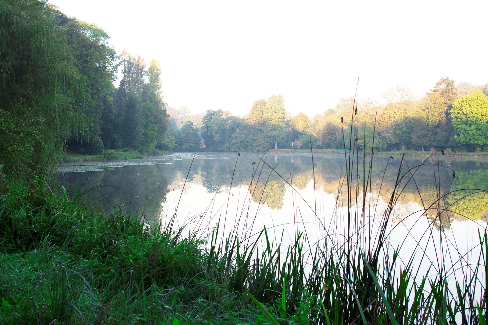 Ponds
