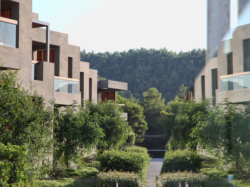 The Hotel