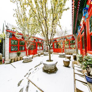 Courtyard Winter View