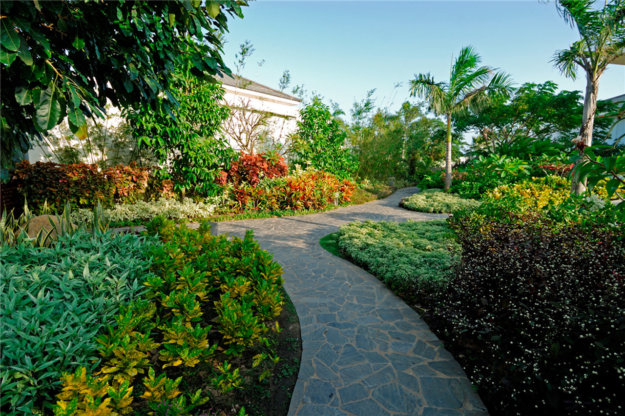 Ginger Garden