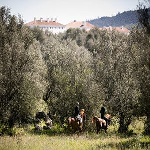 Horseback rides, great way to know the estate