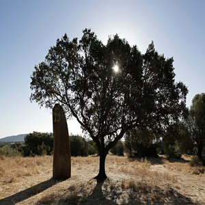 Tallest menhir in Portugal is in the estate
