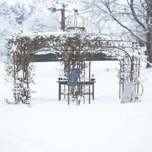 Winter Wedding Rosepavillon Hotelpark