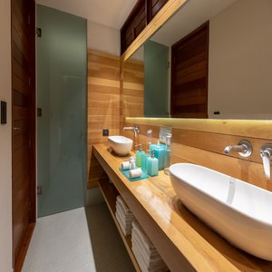 Jungle View Room with Plunge Pool