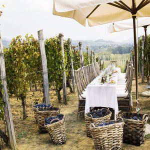 Table in the Vineyard