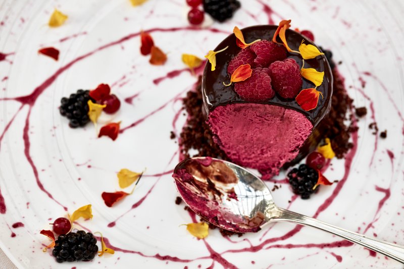 Chocolate Coated Berry Mousse