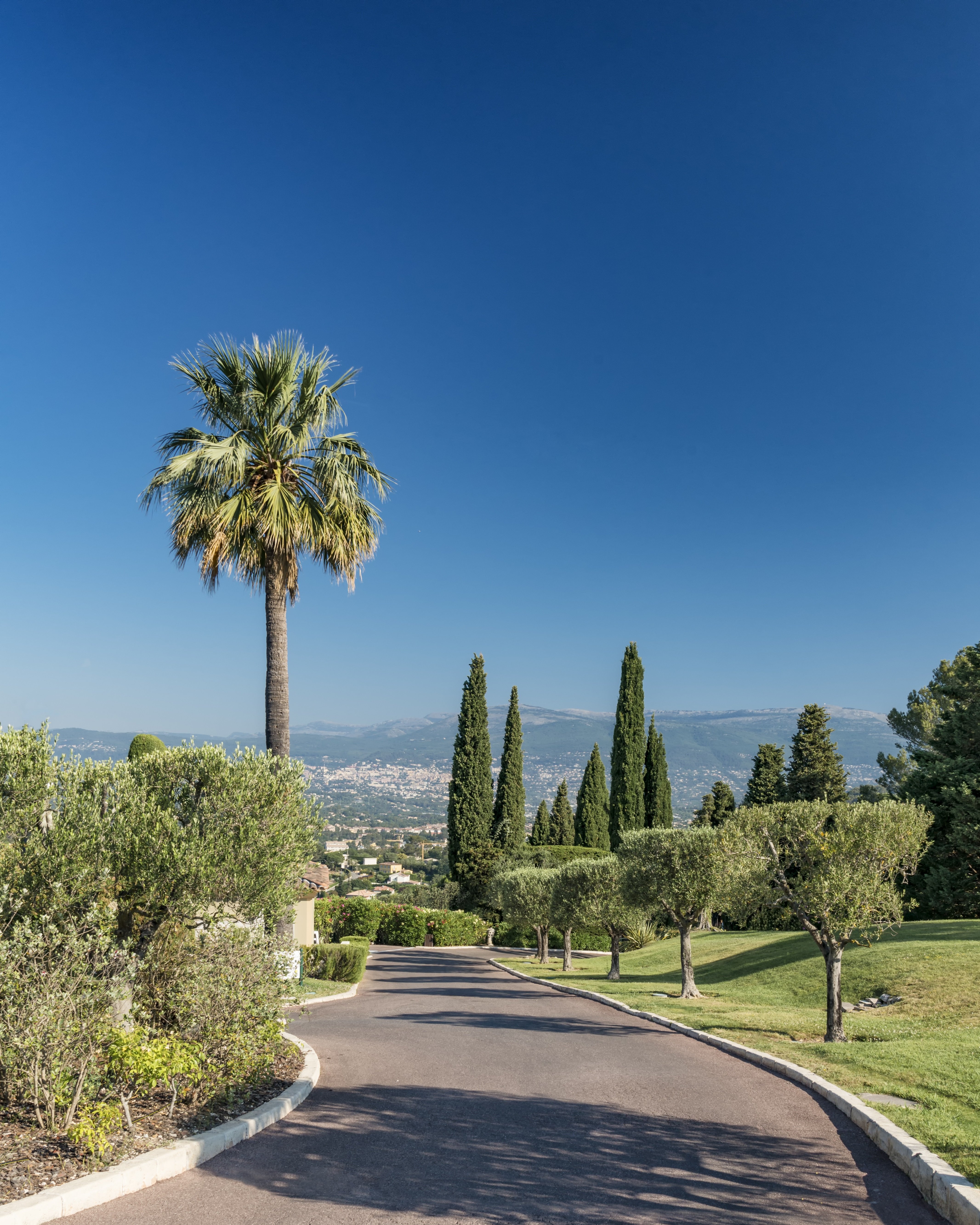 Entrance View