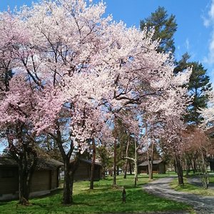 Spring in Karuizawa