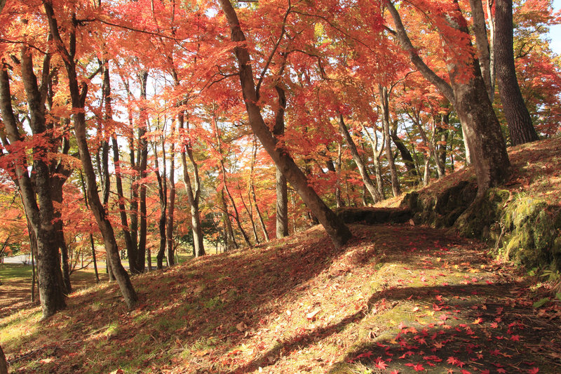 Autumn in Karuizawa