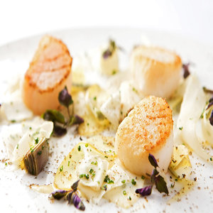 Scallop and Truffles