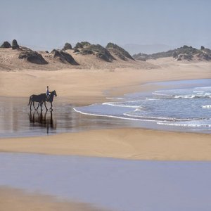 Horse Riding on the Beach