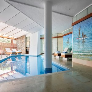 Poseidon Spa Indoor Heated Pool