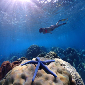 Koh Haa Underwater