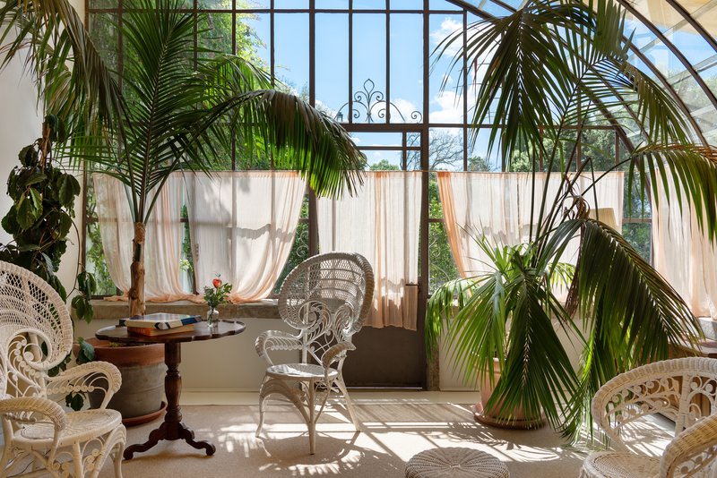Greenhouse Suite