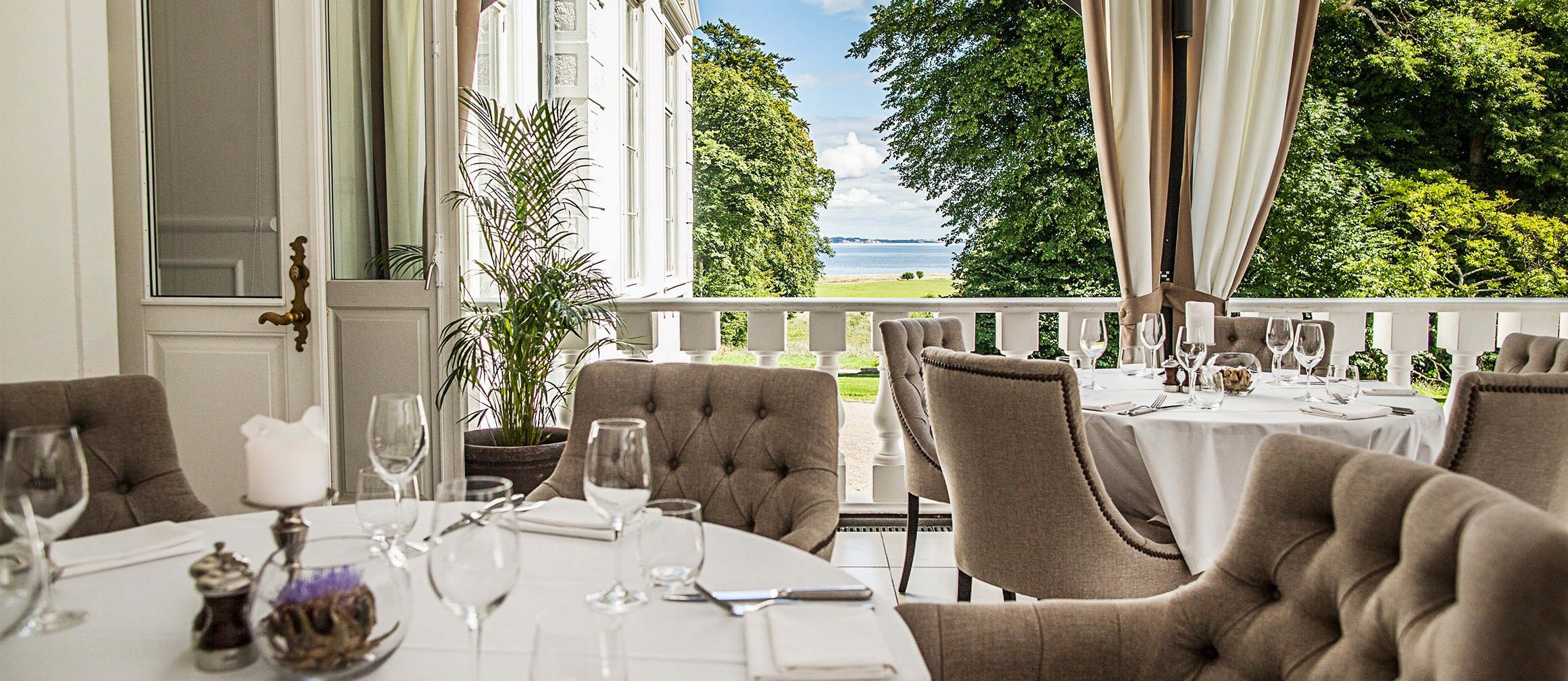 The Terrace