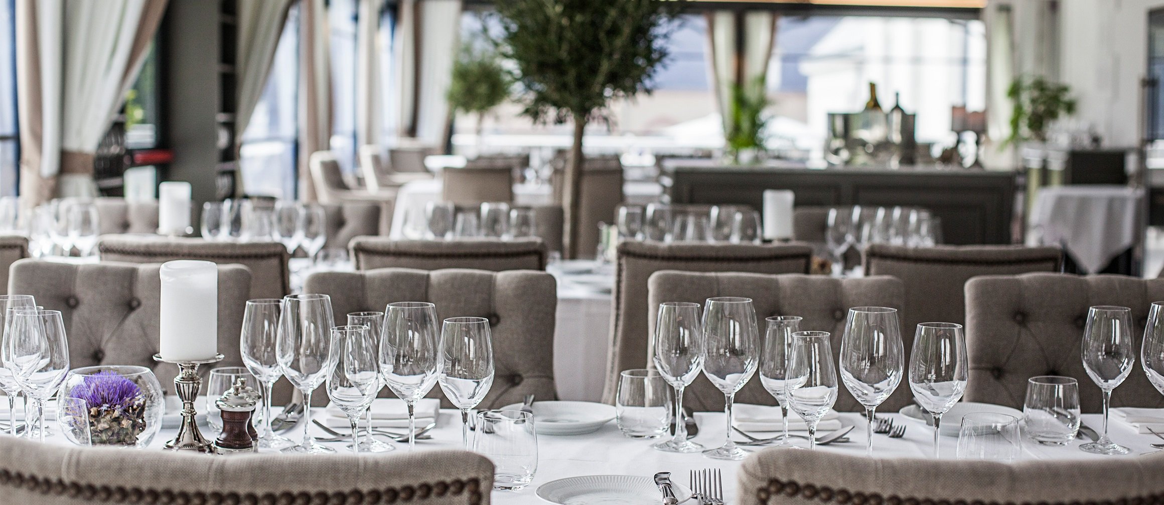 The Terrace