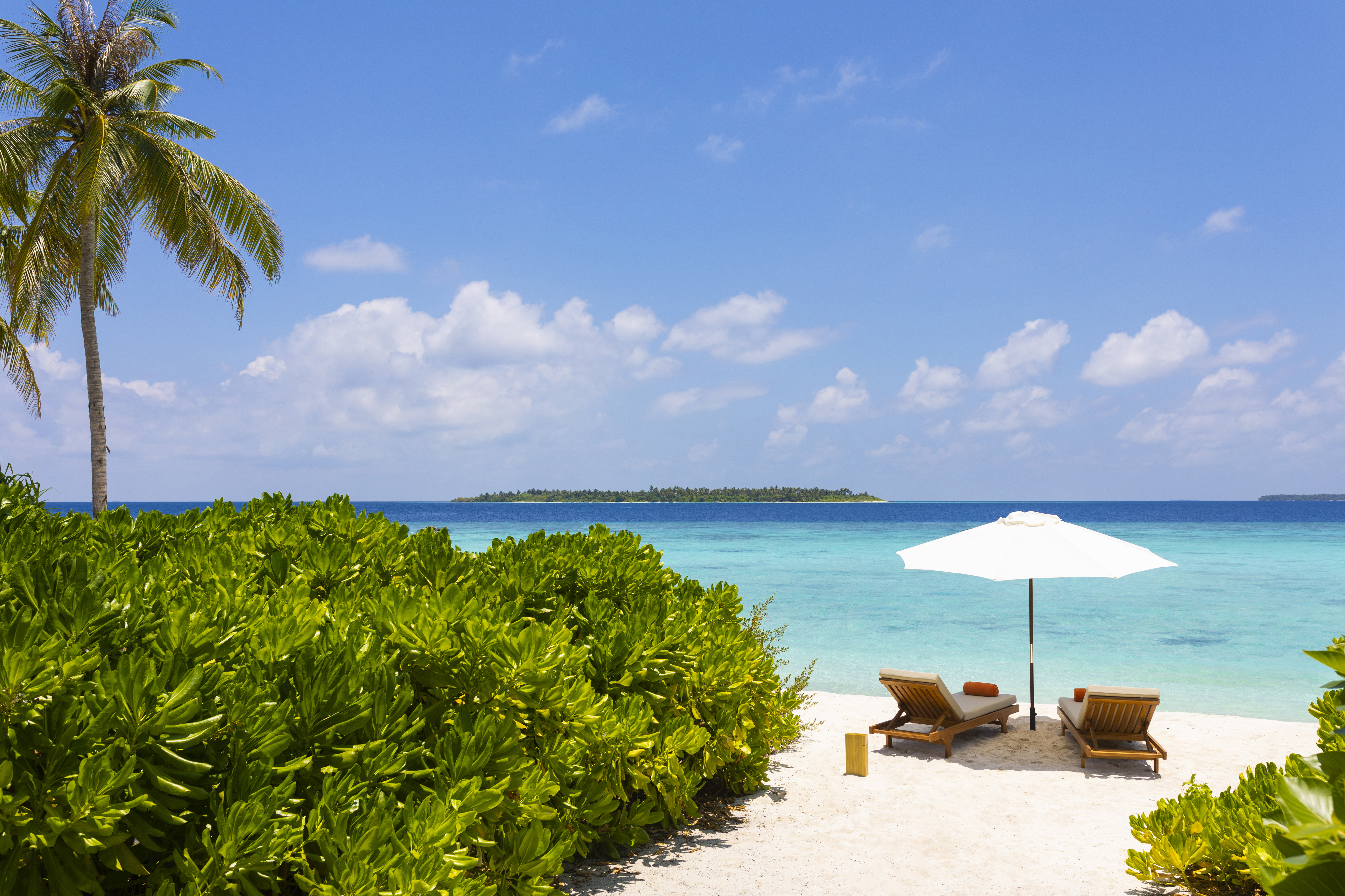 Faarufushi