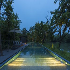 Forested Infinity Pool