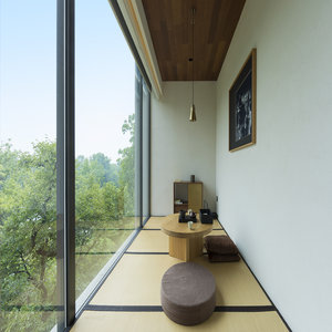 View Room Tatami Area