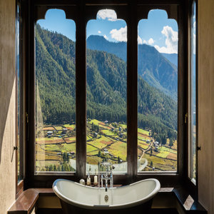 Bath with Mountain View