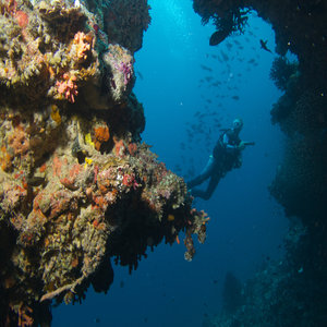 Baros Maldives Diving