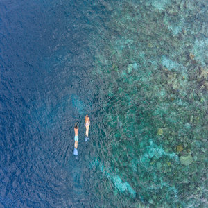Baros Maldives Snorkeling