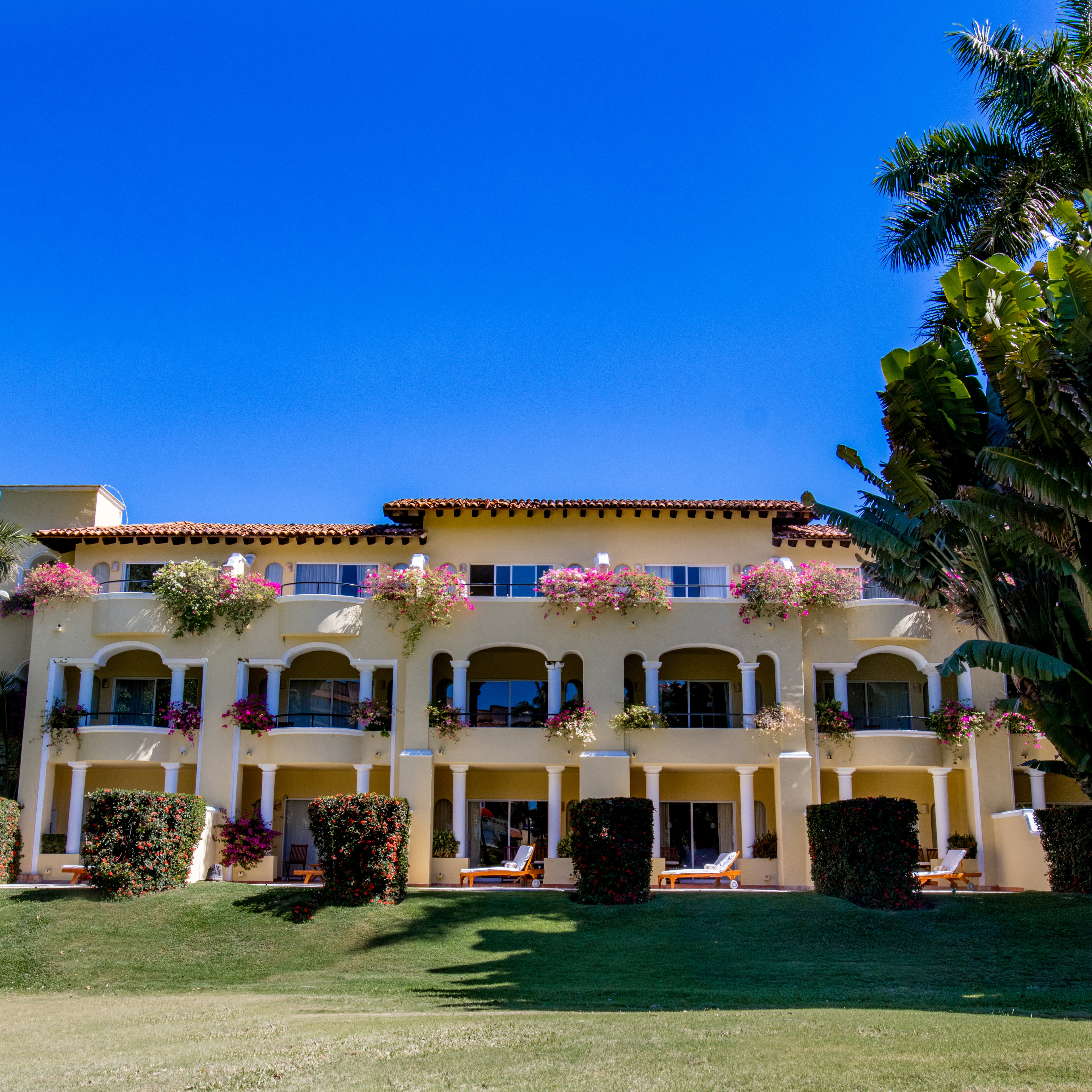 Building Panoramic
