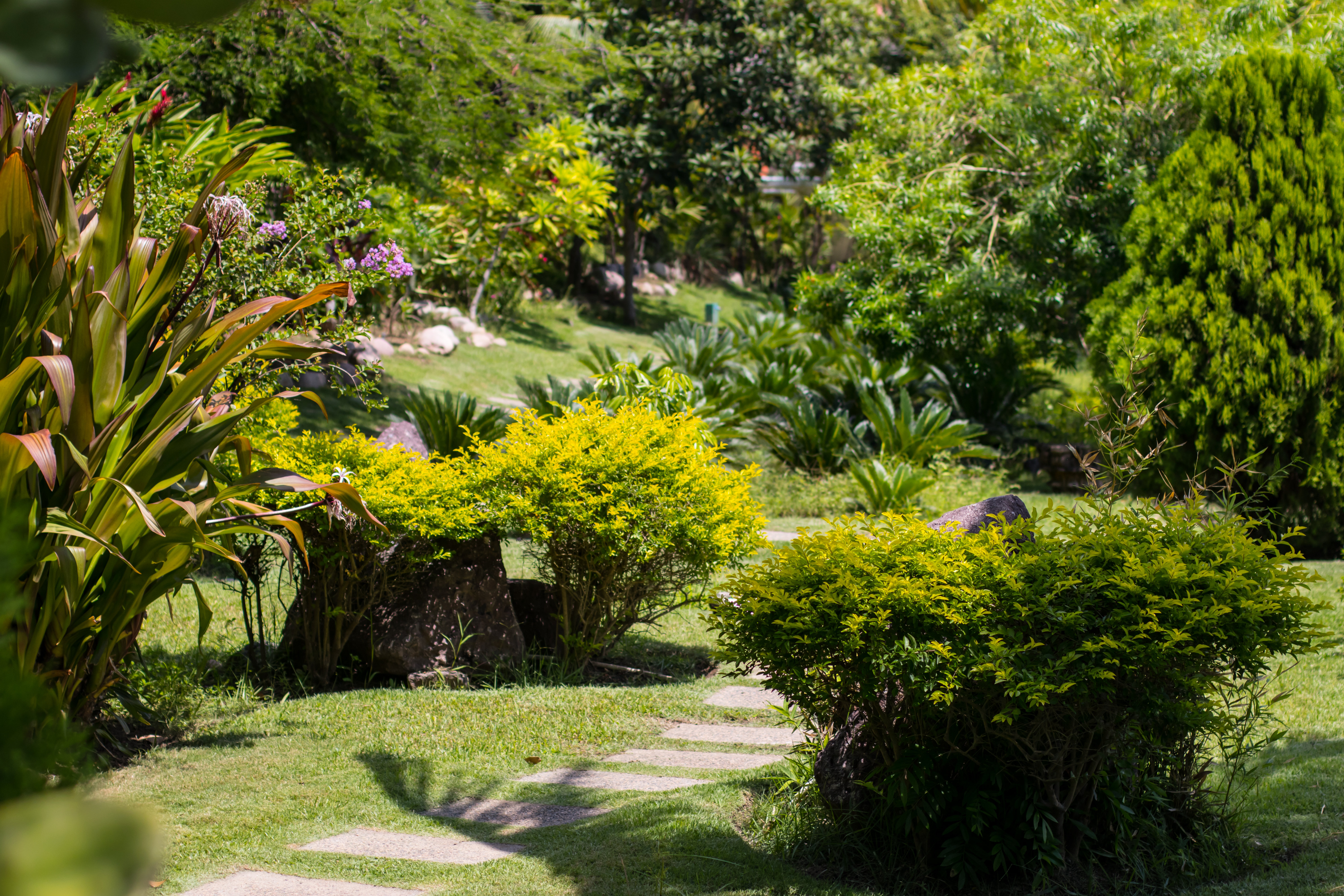 Botanical Garden