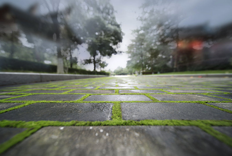 Villa Path