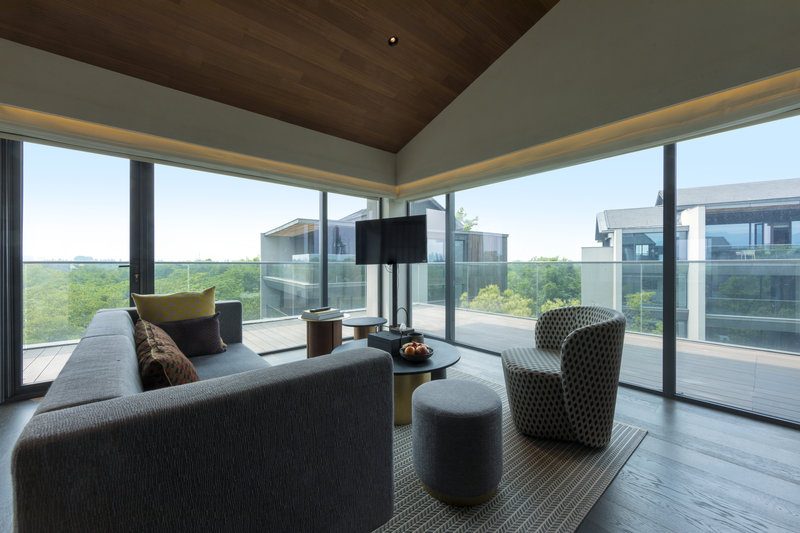 Deluxe View Suite BLiving Area