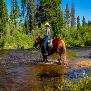 Horse Trail Riding - Laramie River 