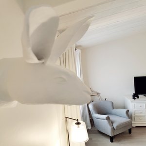  Plenitude Suite
