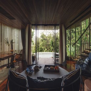 Tree Pool House - Interior