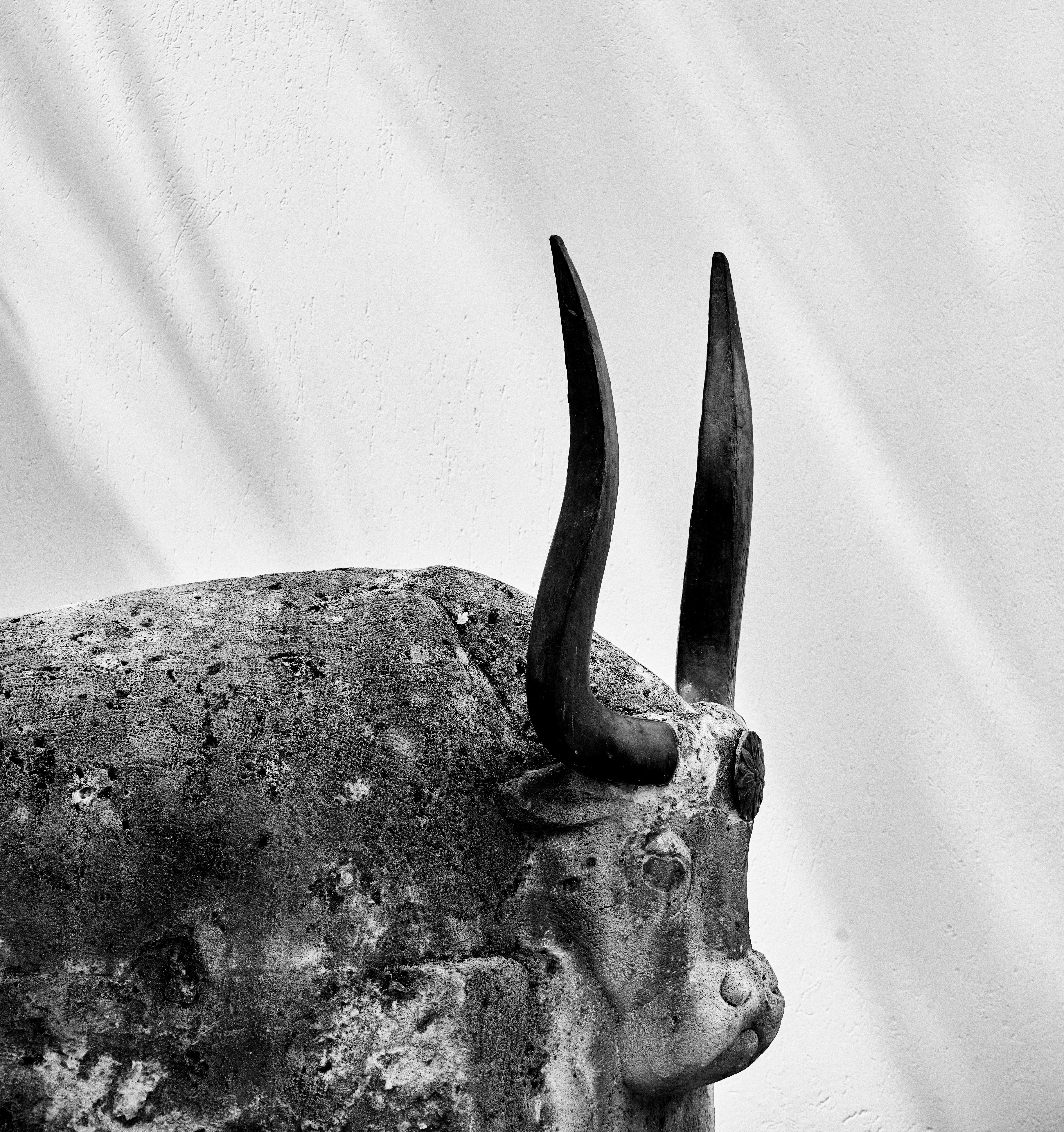 119971787_Art Work By Froso Michalea (Greece )Minotaurus_5792x8688.jpg