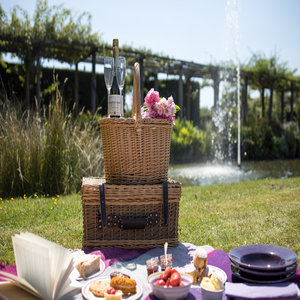 A Summer Picnic in the Gardens at Great Fosters