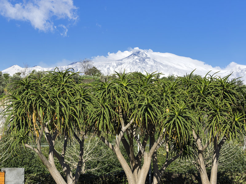 Etna View
