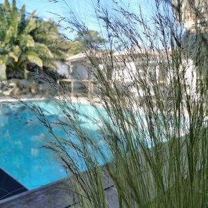 Main Pool