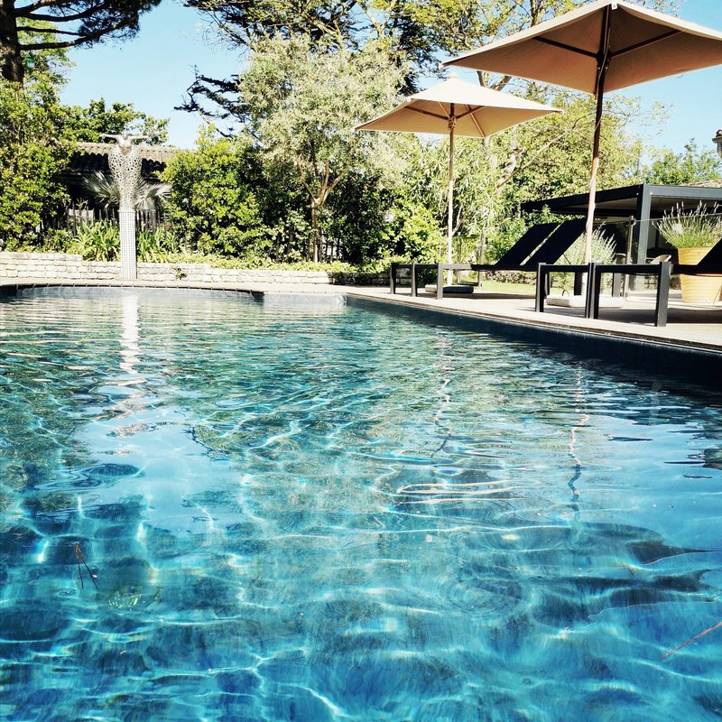 Adult Pool